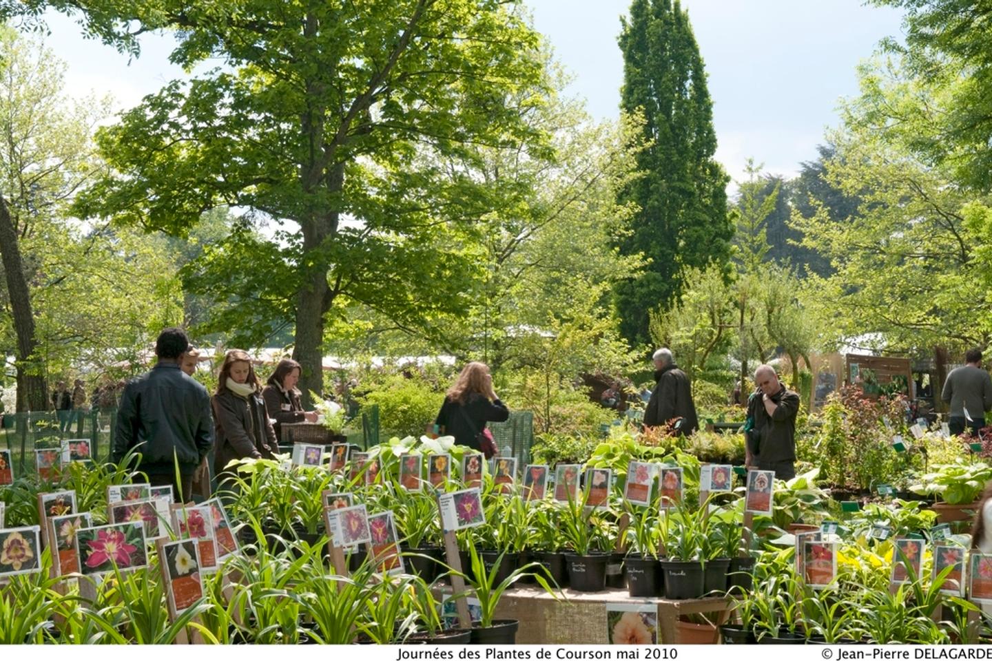 Journées de Courson : savez-vous planter rustique