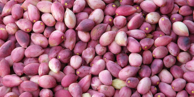 La pistache qui, fraîche, a une peau violette protégeant la chair verte, est produite principalement en Iran, aux Etats-Unis, en Turquie et en Syrie.