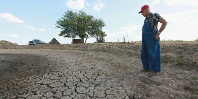 Environ 55 % du territoire continu des Etats-Unis, en particulier dans le Midwest, ont été frappés en juin par la sécheresse.