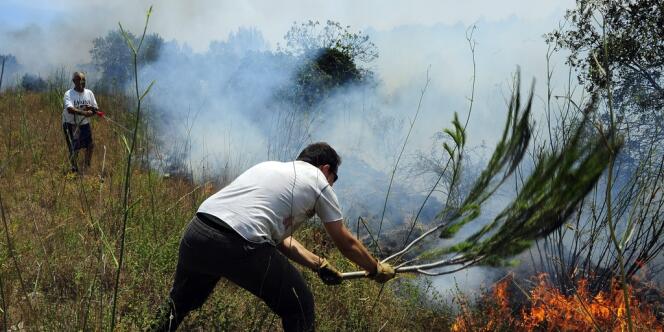Des agriculteurs de la région de LIers, en Espagne, tentent d’éteindre des feux, le 23 juillet.