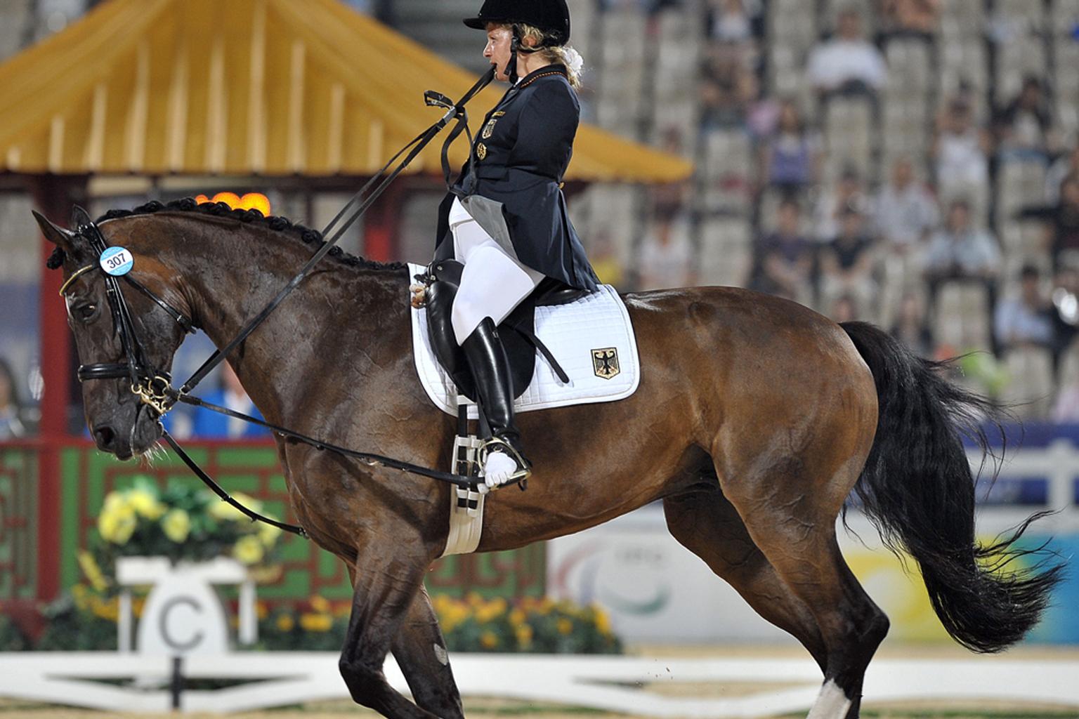 Les 20 disciplines des Jeux paralympiques en images