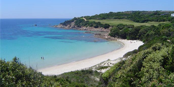 La Discrète Mise En Vente Du Luxueux Domaine De Sperone