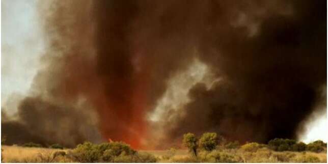 « Le climat continuera à évoluer et les risques de feux, comme en Australie, vont augmenter »