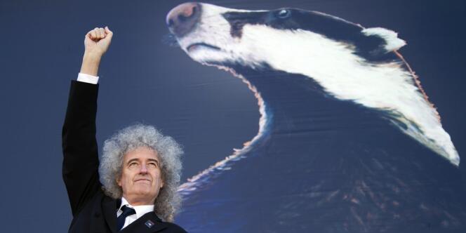 Brian May, guitariste de Queen, a lancé une pétition pour s'opposer à la campagne d'abattage des blaireaux en Angleterre. 