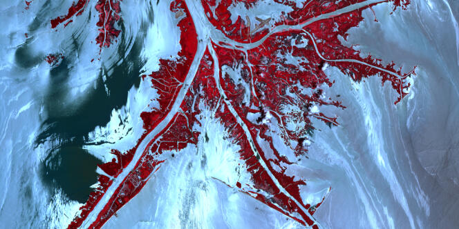 Vue du delta du Mississippi, prise depuis un satellite de la NASA, les traînées claires montrent le pétrole échappé en avril 2010 de la plate-forme de forage Deepwater Horizon de BP. La végétation est en rouge.
