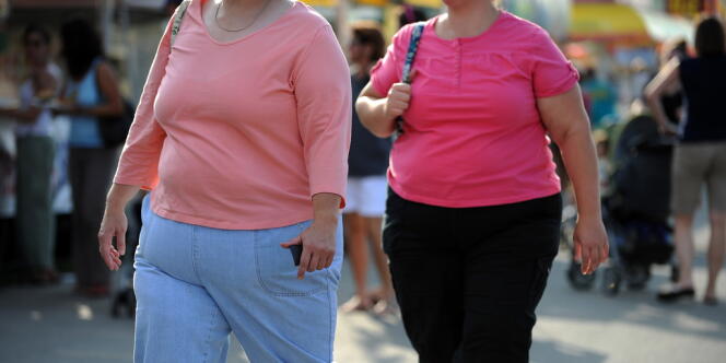 On dénombre en France environ 7 millions d'adultes obèses