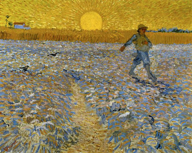 Des jaunes de Van Gogh menaces par les ampoules LED