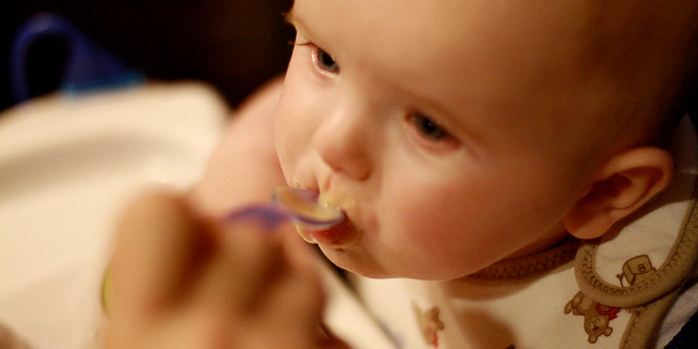 Comment Faire Gouter De Tout A Bebe Comment Faire Gouter De Tout A Bebe