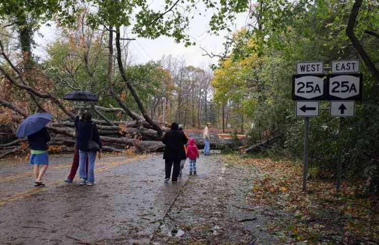 COLD SPRING HARBOR, NY - OCTOBER 30: Residents view downed trees completely blocking Cold Spring Harbor Road in the aftermath of Hurricane Sandy on October 30, 2012 in Cold Spring Harbor, New York. The storm has claimed at least a few dozen lives in the United States, and has caused massive flooding across much of the Atlantic seaboard. U.S. President Barack Obama has declared the situation a "major disaster" for large areas of the U.S. east coast, including New York City.   Bruce Bennett/Getty Images/AFP== FOR NEWSPAPERS, INTERNET, TELCOS & TELEVISION USE ONLY ==