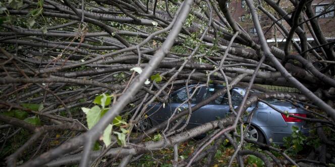 Une voiture emprisonnée par des arbres tombés suite au passage de l'ouragan.