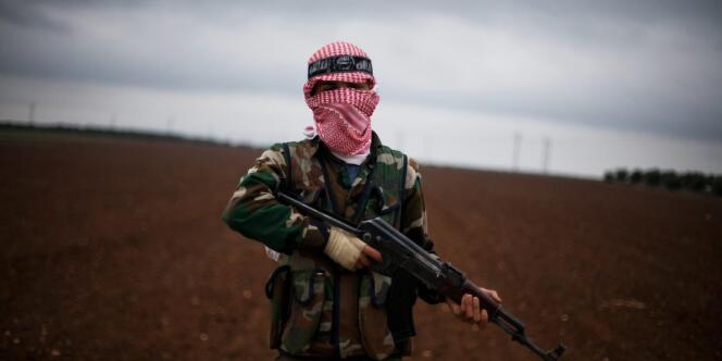 Jusqu'à 11 000 étrangers ont combattu en Syrie entre 2011 et 2013, selon le Centre international pour l'étude de la radicalisation (ICSR). Paris estime que 500 français ont rejoint les rangs des opposants à Bachar Al-Assad. 