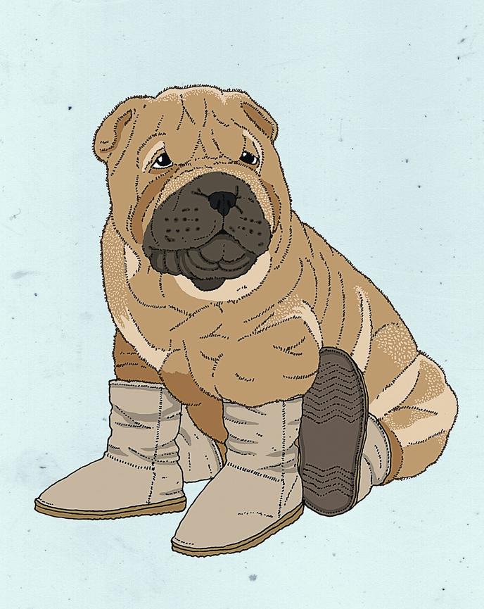 chaussure pour chien ugg chaussure pour chien ugg