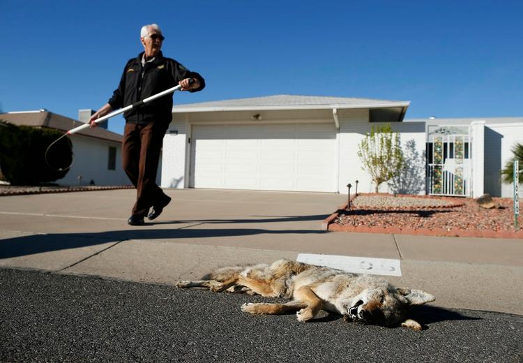 Petit tour à Sun City, le paradis des seniors américains