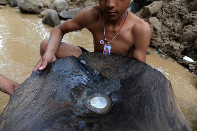 A San Juan Arriba, au Honduras, un enfant montre comment l'orpaillage utilise le mercure fondu pour séparer l'or des boues de minerai charriés par les eaux de la rivière.