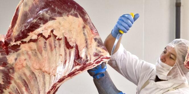 Six carcasses de chevaux contenant un médicament anti-inflammatoire, la phénylbutazone, utilisée en médecine vétérinaire et, jusqu'en 2011, en médecine humaine ont été exportées du Royaume-Uni vers la France, a annoncé, jeudi 14 février, la FSA.