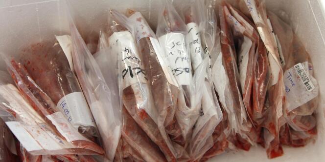 Des échantillons de viande hachée analysés à l'institut Eurfins, près de Munich, en Allemagne.