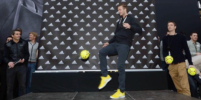 Boutique adidas top dijon