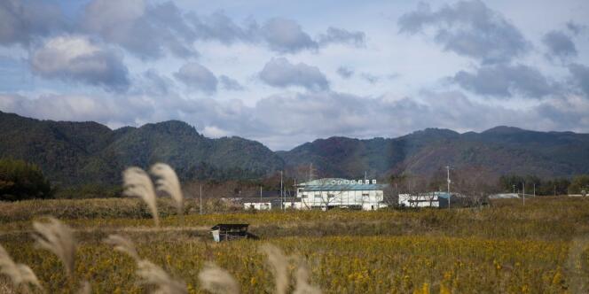 un champ abandonné dans la zone interdite autour de la centrale de Fukushima en novembre 2011.
