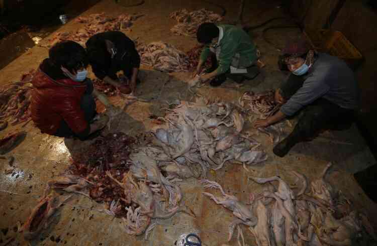 Vendors remove internal organs from ducks after slaughter at a poultry market in Wuhan, Hubei province, April 6, 2013. The market has closed live poultry trading on Saturday and slaughtered about 50,000 chickens and ducks so far to prevent the spreading of the H7N9 virus. Two more people have contracted bird flu in Shanghai, China's health ministry said on Saturday, as authorities closed live poultry markets and culled birds to combat a new virus strain that has killed six people. Picture taken April 6, 2013. REUTERS/Stringer (CHINA - Tags: ANIMALS HEALTH SOCIETY) CHINA OUT. NO COMMERCIAL OR EDITORIAL SALES IN CHINA