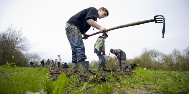 Dans un champ, une vingtaine de militants enrichissaient, à l'aide de fumier, la terre d'un grand jardin maraîcher collectif, le Sabot. 