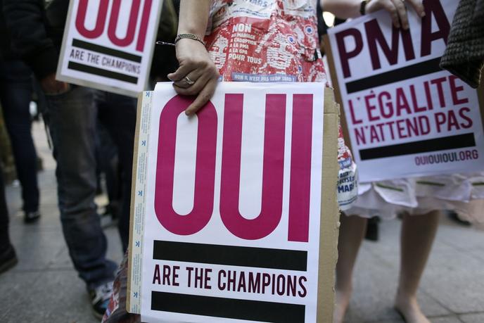 La Pma Victime De L Opposition Au Mariage Homosexuel