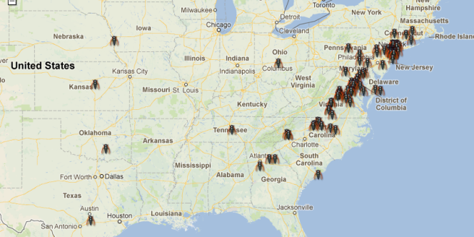 L'invasion des cigales est particulièrement attendue dans le nord-est des Etats-Unis. 