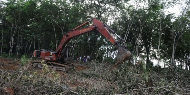 le président indonésien, Susilo Bambang Yudhoyono, a annoncé, mercredi 15 mai, la reconduction pour deux ans du moratoire sur l'exploitation des forêts primaires et des tourbières.
