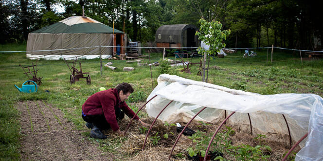 Sur leur terrain, Alex Bovet et Sara Chaumet font pousser des légumes.