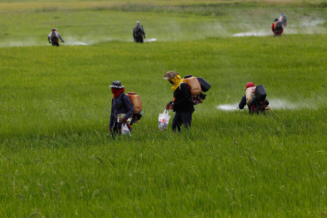 En dépit des dénégations des industriels du secteur, les pesticides sont bel et bien impliqués dans un grand nombre de pathologies lourdes.