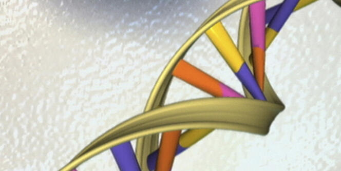 Vue d'artiste de l'ADN, publiée par l'Institut national de recherche sur le génome humain.