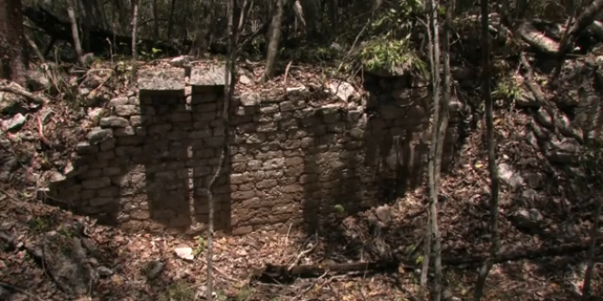 Une cité maya a été découverte dans l'Etat mexicain de Campeche.