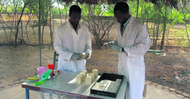 Deux étudiants burkinabés ont imaginé le Fasosoap, un savon anti-paludisme.