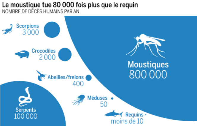 Le moustique tue 80 000 fois plus que le requin selon l'Institut océanographique Fondation Albert-Ier-Prince de Monaco.
