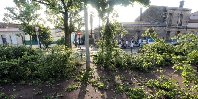 Des branches d'arbres arrachées dans le centre de Bordeaux.