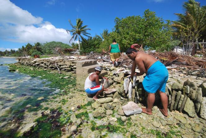 Des habitants de l’archipel des Kiribati édifient des murs, à base de récifs coralliens,
pour tenter de se protéger contre la montée des eaux.