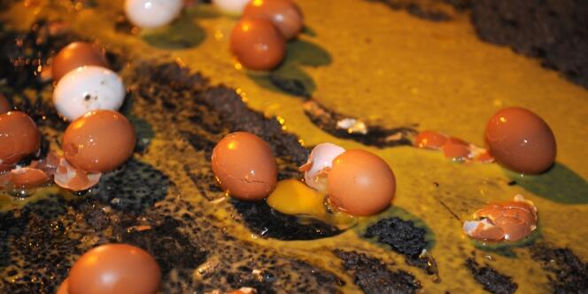 Les producteurs d'œufs protestent contre une baisse des cours qui met en danger leur activité.