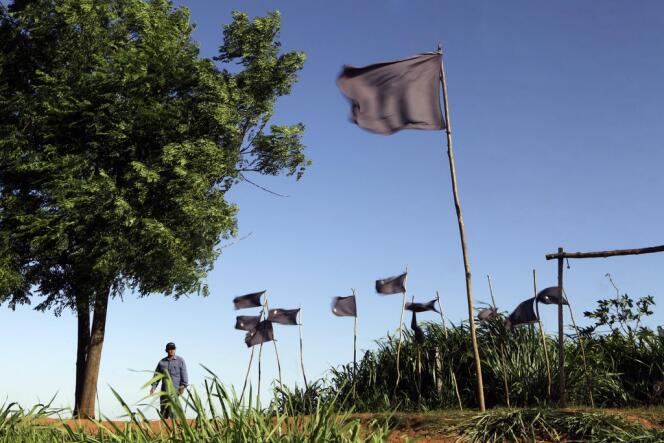 Près de Curuguaty, des drapeaux noirs symbolisent le massacre de 14 paysans, le 15 juin 2012, résultant d'affrontements avec la police.