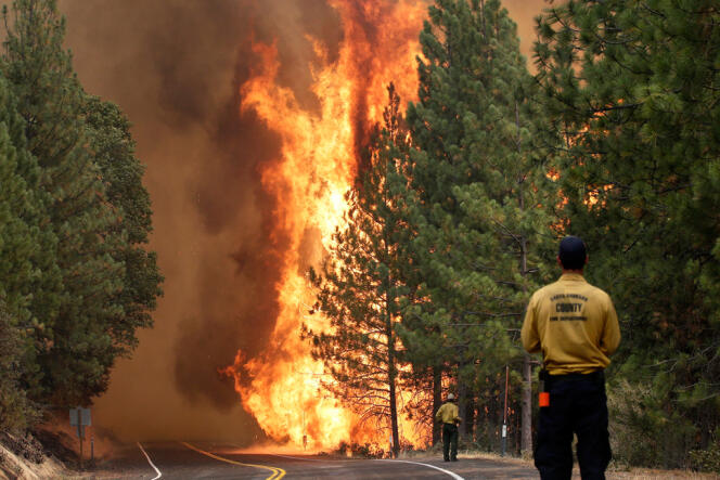 5 000 pompiers-secouristes venus de 41 Etats américains luttent contre le Rim Fire.