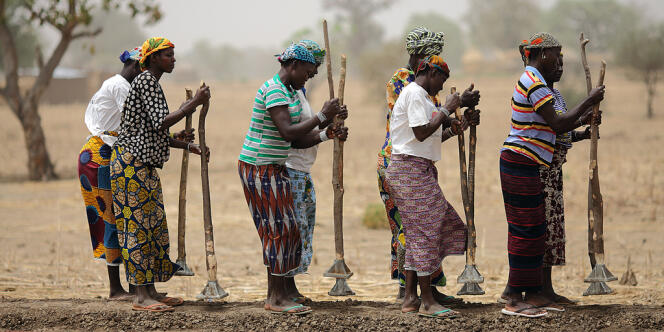 Construction de digues près de Diapaga, au Burkina Faso, soutenue par l'ONG Action contre la Faim. Selon un rapport de l'Organisation des Nations unies pour l'alimentation et l'agriculture, le nombre de sous-alimentés a baissé de 17 % depuis le début des années 1990. 