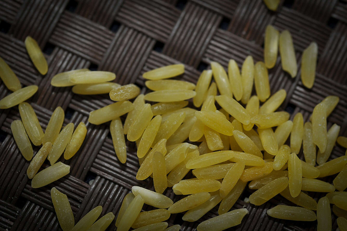 Des grains de riz plus longs - Sciences et Avenir