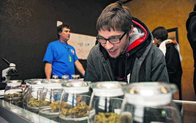  Un client découvre les différentes variétés de cannabis mises en vente au Denver Discrete Dispensary, le 1er janvier. 
