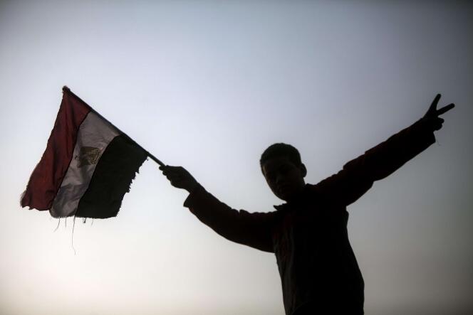 Un jeune Egyptien brandit un drapeau égyptien à l'extérieur d'un bureau de vote le 14 janvier 2014 au Caire.