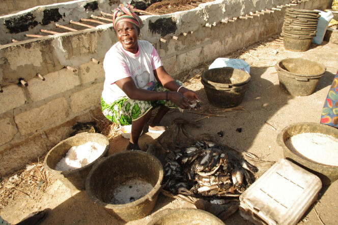 Joal (Sénégal), janvier 2014. Il est impossible pour les femmes qui sèchent et conditionne le poisson de lutter contre la concurrence des usines qui transforment cette ressource en farine pour l’aquaculture d’Asie et d’Europe.