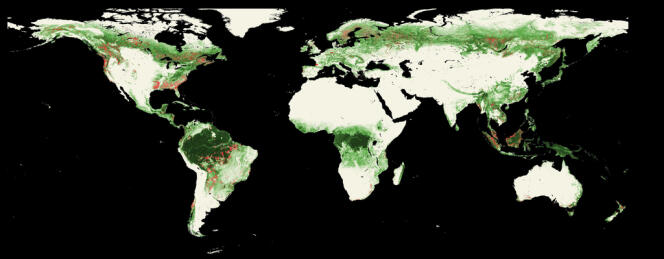 En rouge, les zones de déforestation entre 2005 et 2010.