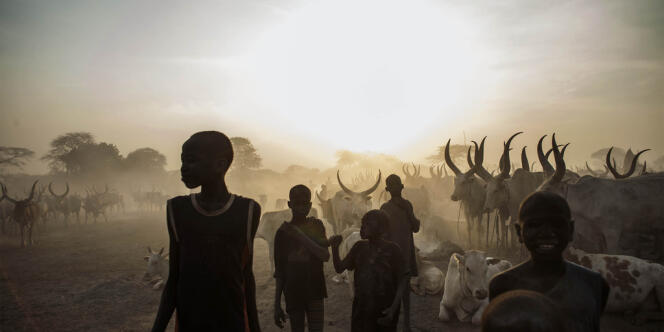 Dans un camp près de Yirol, au Soudan du Sud, le 12 février.