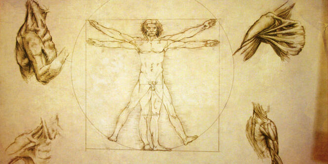 Dessin de Léonard de Vinci (1452-1519).