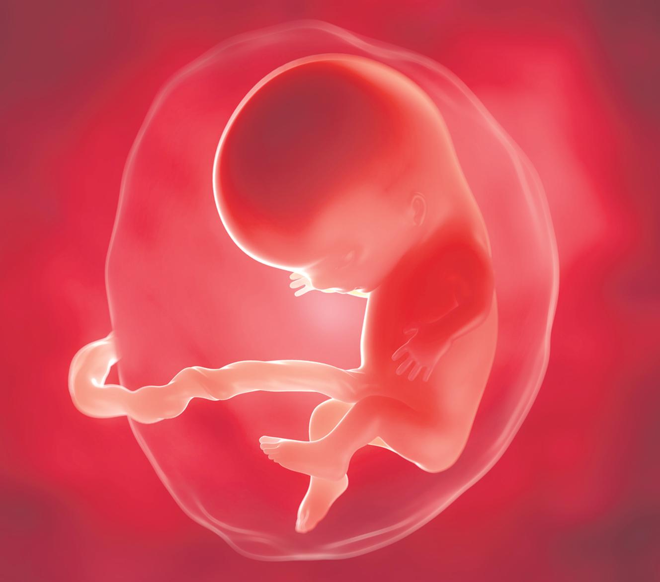 Dépistage prénatal, génération tests ADN