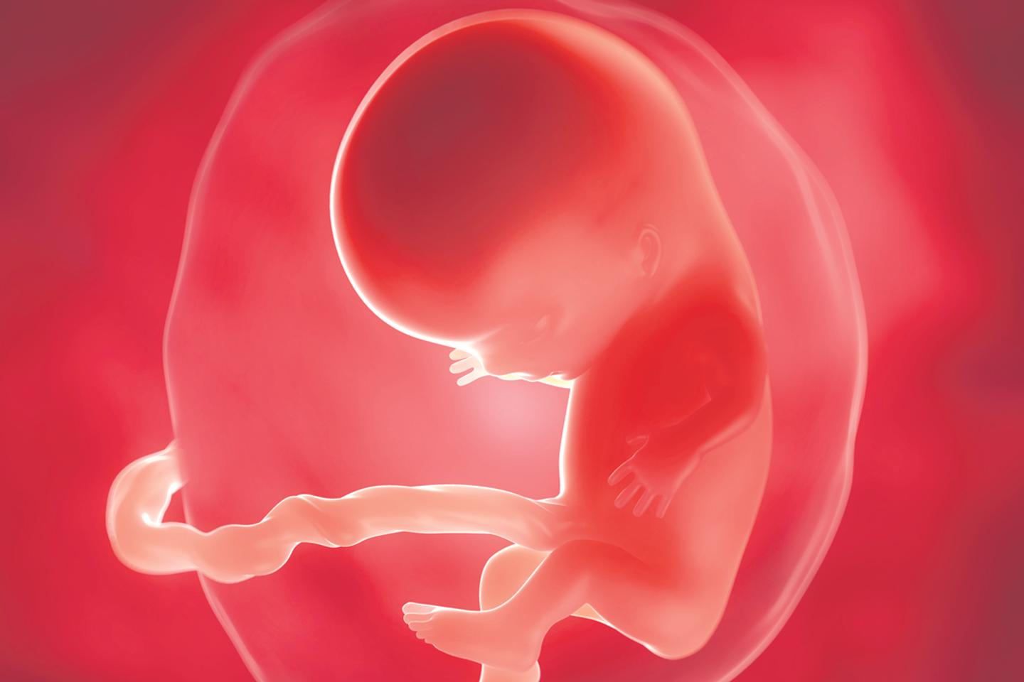 Dépistage prénatal, génération tests ADN