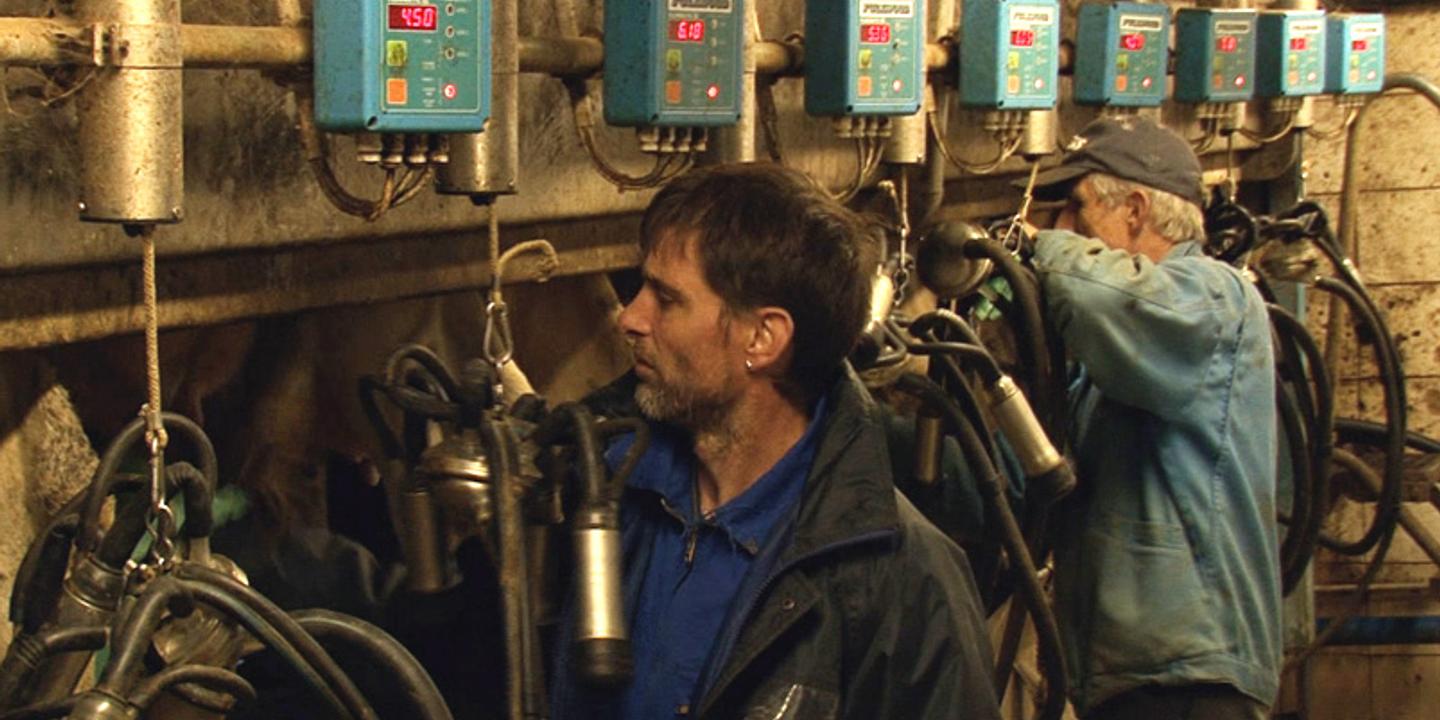 Les Fils De La Terre Streaming « Les Fils de la terre