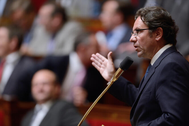Frédéric Lefebvre, député des Français vivant à l'étranger, à l'Assemblée, le 11 juin 2013. 